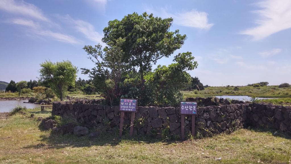 Arting Pension ソギポ エクステリア 写真